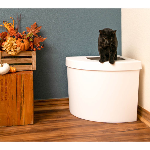 Kitangle, LLC Standard Litter Box & Reviews Wayfair